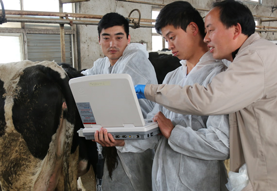 牛用B超,牛用B超機,牛孕檢B超,牛場用B超機,養(yǎng)牛用B超機,獸用B超,獸用B超機