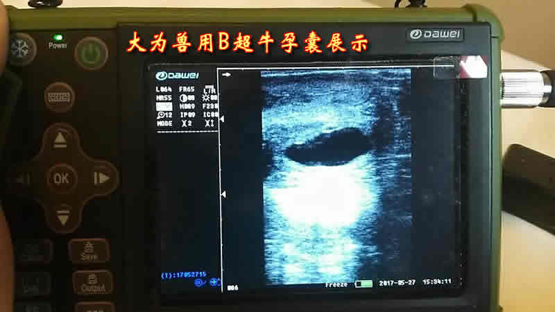 牛用B超,牛用B超機,養(yǎng)牛用B超,牛場用B超機,養(yǎng)牛用B超機,獸用B超,獸用B超機