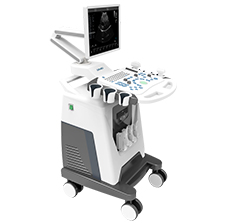 獸用b超機(jī)-彩色多普勒動(dòng)寵物超聲診斷儀